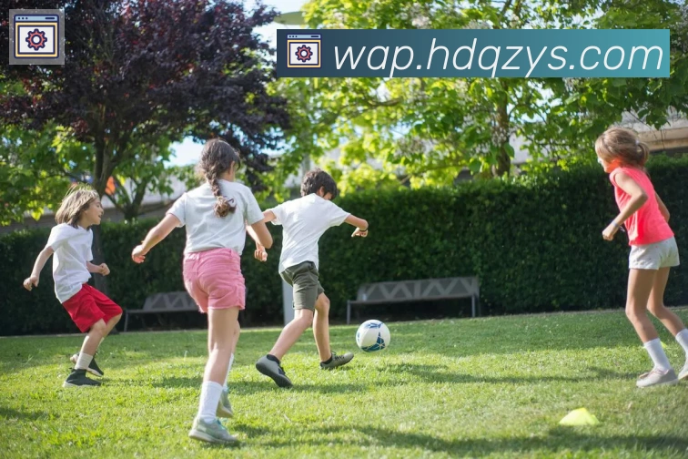 App Interface Preview