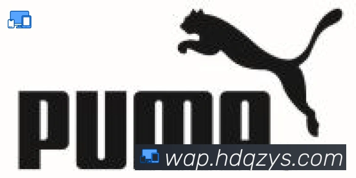 开云官方手机网页版合作伙伴