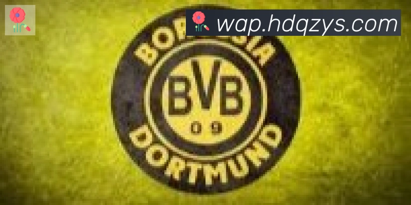 开云官方手机网页版合作伙伴