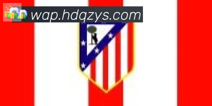 开云官方手机网页版合作伙伴