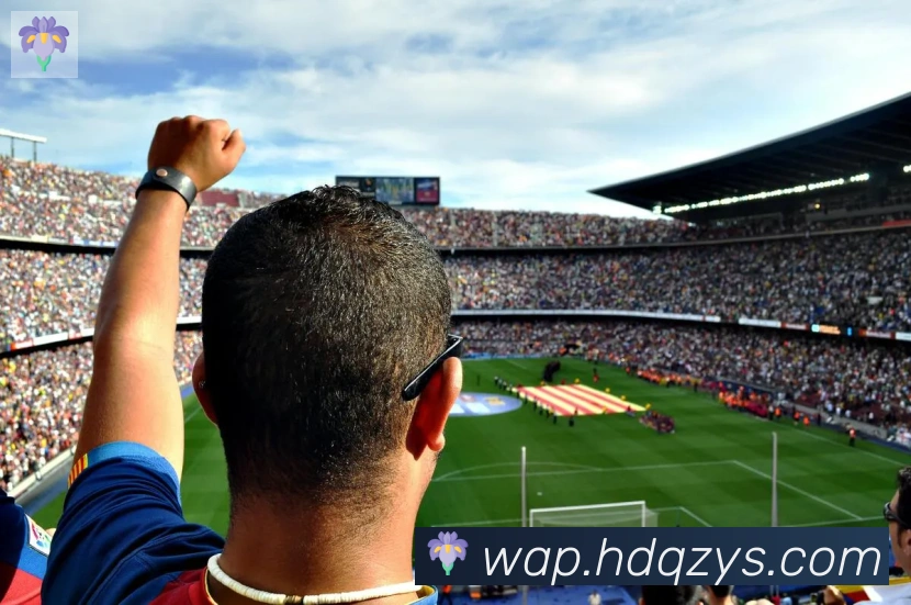 开云官方手机网页版全站App